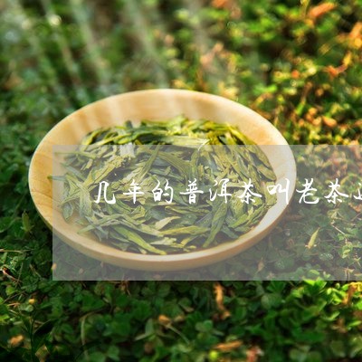 几年的普洱茶叫老茶还是新茶/2023052922704