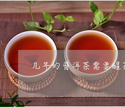 几年的普洱茶需要醒茶/2023101707271