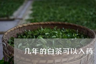 几年的白茶可以入药/2023121703169