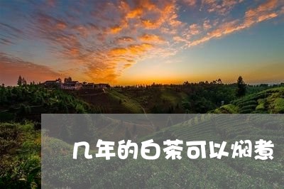 几年的白茶可以焖煮/2023081358461