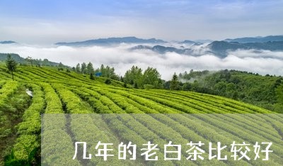 几年的老白茶比较好/2023121765271