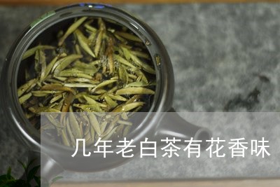 几年老白茶有花香味/2023073184138