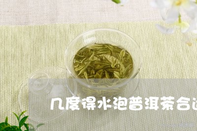 几度得水泡普洱茶合适/2023100743736