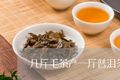 几斤毛茶产一斤普洱茶/2023092776369