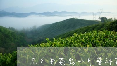 几斤毛茶出一斤普洱茶/2023072275937