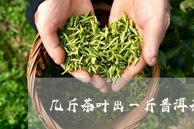 几斤茶叶出一斤普洱茶/2023093082735