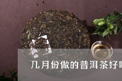 几月份做的普洱茶好喝/2023093049682