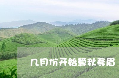 几月份开始算秋寿眉/2023120445050