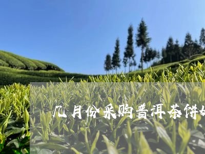 几月份采购普洱茶饼好/2023110563735