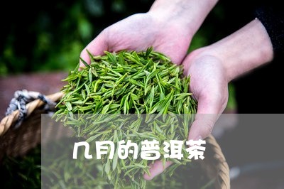 几月的普洱茶/2023042631737