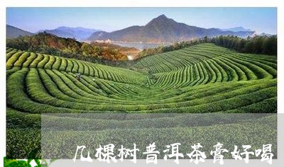 几棵树普洱茶膏好喝/2023082805069