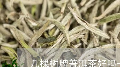 几棵树牌普洱茶好吗一斤/2023121569603