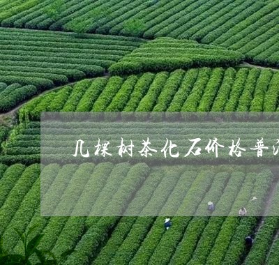 几棵树茶化石价格普洱/2023092434063