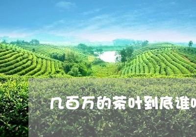 几百万的茶叶到底谁喝/2023092353726