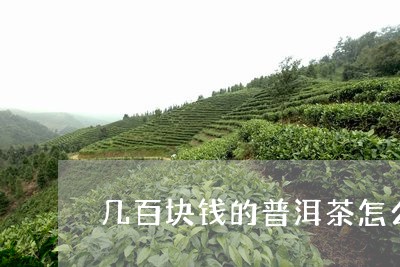 几百块钱的普洱茶怎么样/2023120749592