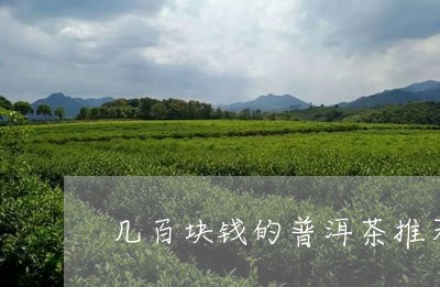 几百块钱的普洱茶推荐/2023072100594