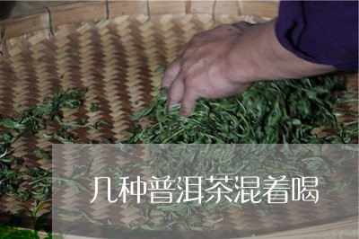 几种普洱茶混着喝/2023120405045