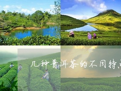 几种普洱茶的不同特点/2023100744717