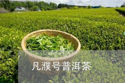 凡濮号普洱茶/2023042922942