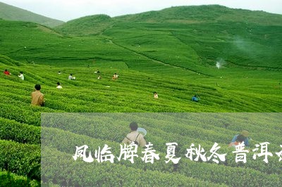 凤临牌春夏秋冬普洱茶/2023093046140