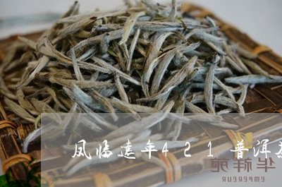 凤临远年421普洱茶/2023073094837