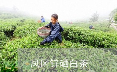 凤冈锌硒白茶/2023051394931