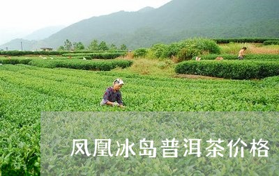 凤凰冰岛普洱茶价格/2023071160794