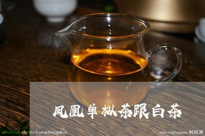 凤凰单枞茶跟白茶/2023061352817