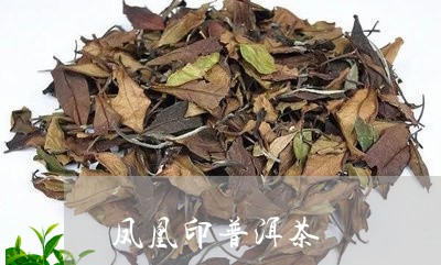 凤凰印普洱茶/2023042713166