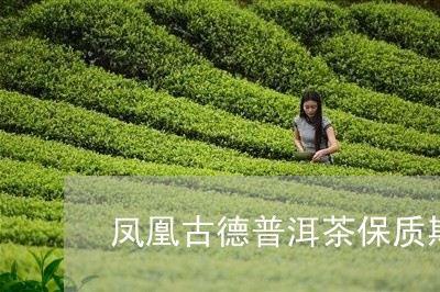 凤凰古德普洱茶保质期/2023092725036