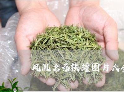 凤凰名茶铁罐图片大全/2023060919494