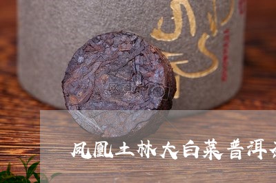 凤凰土林大白菜普洱茶/2023110397169