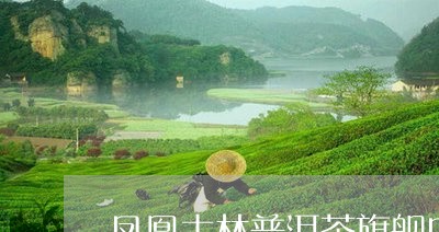 凤凰土林普洱茶旗舰店/2023092746474