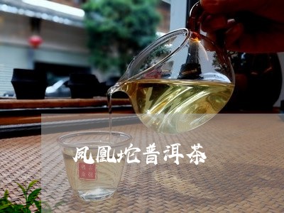 凤凰坨普洱茶/2023042800144