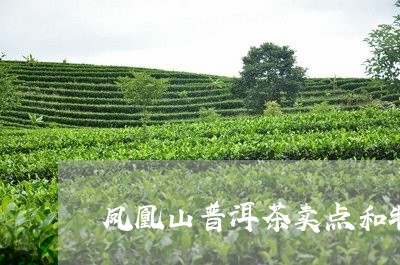 凤凰山普洱茶卖点和特点/2023103140482