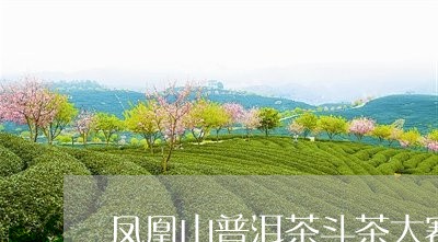 凤凰山普洱茶斗茶大赛/2023062337705