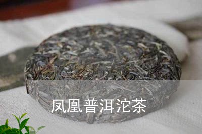 凤凰普洱沱茶/2023090730582