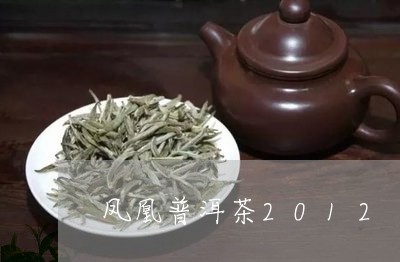 凤凰普洱茶2012/2023091435159