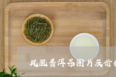 凤凰普洱茶图片及价格/2023062798393