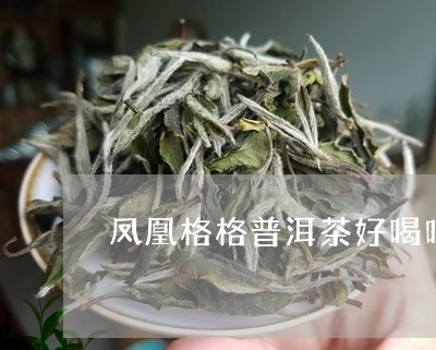 凤凰格格普洱茶好喝吗/2023120778290