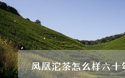 凤凰沱茶怎么样六十年代福散茶/2023060213827