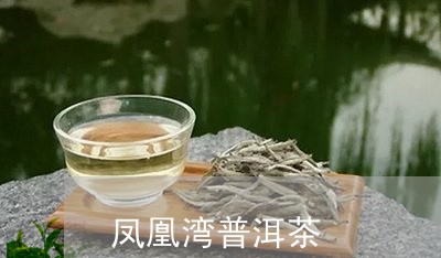 凤凰湾普洱茶/2023121559413