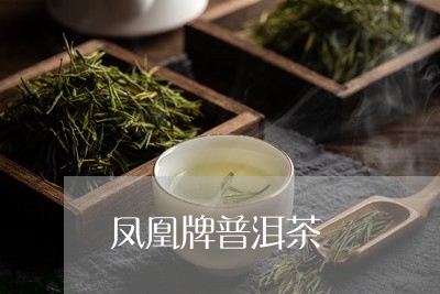 凤凰牌普洱茶/2023042744425