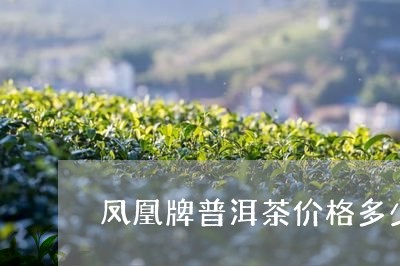 凤凰牌普洱茶价格多少钱/2023082800460