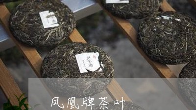 凤凰牌茶叶/2023090215240