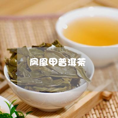 凤凰甲普洱茶/2023042962369