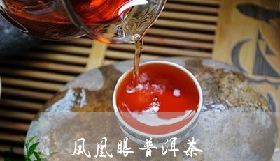 凤凰眼普洱茶/2023042608253