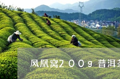 凤凰窝200g普洱茶生茶/2023112975035