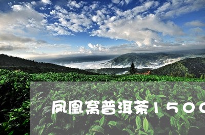 凤凰窝普洱茶1500/2023082737270