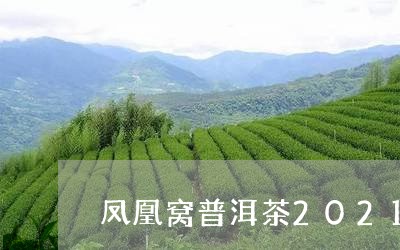 凤凰窝普洱茶2021/2023110399693